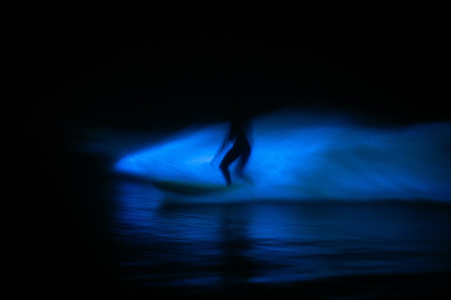 Nate Leal portfolio photograph 11